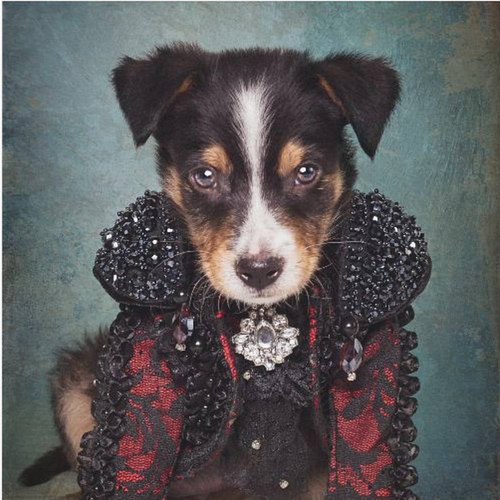 Shelter Pets Project - Loki - Poster / Art Print
