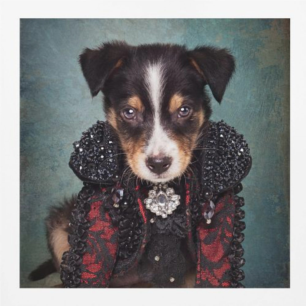 Shelter Pets Project - Loki - Poster / Art Print