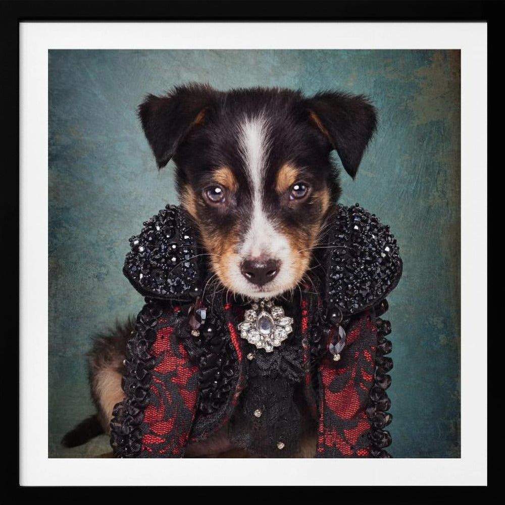 Shelter Pets Project - Loki - Poster / Art Print