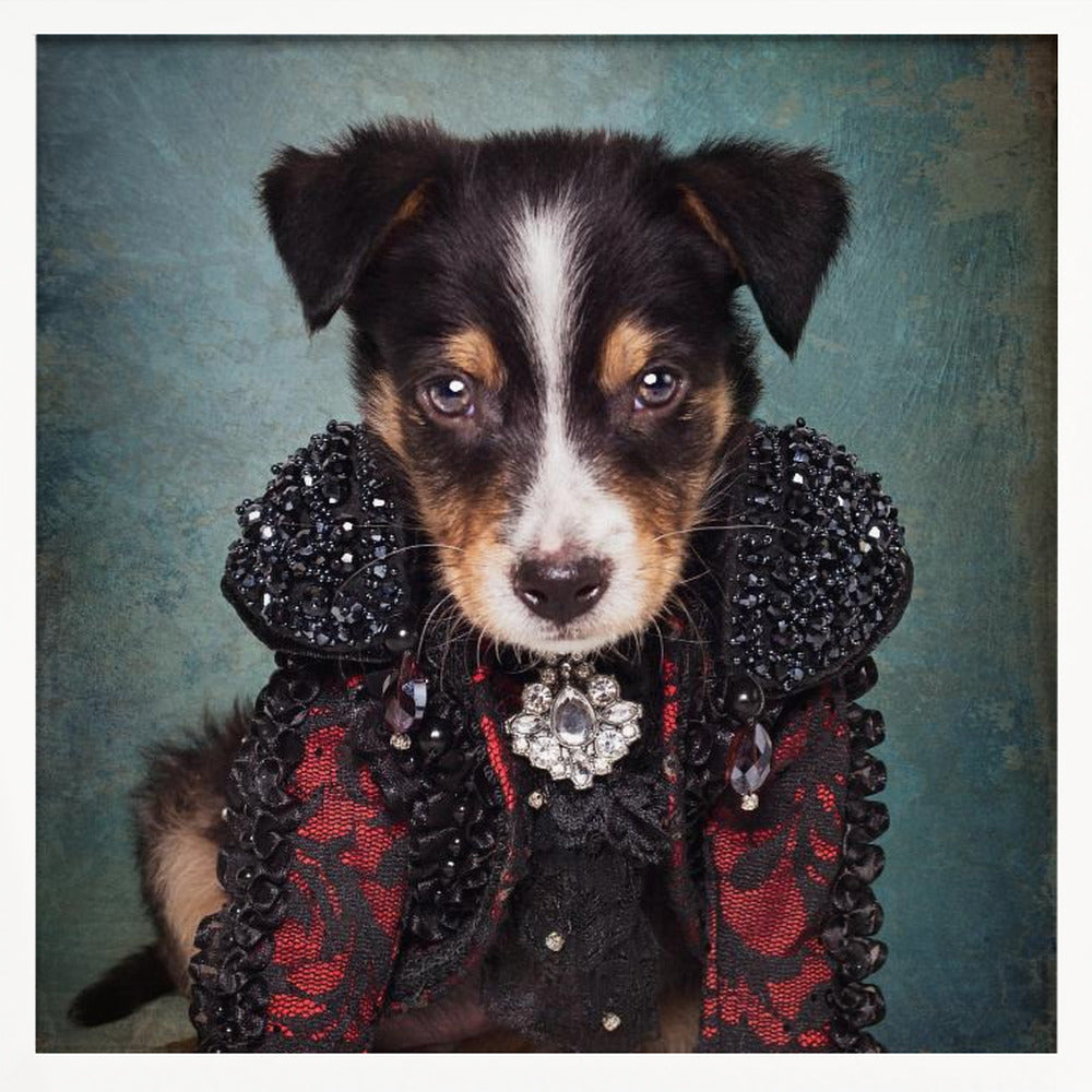Shelter Pets Project - Loki - Poster / Art Print