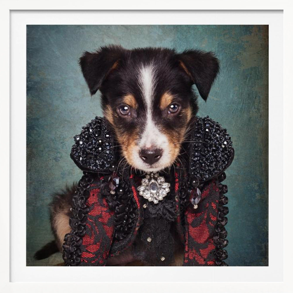 Shelter Pets Project - Loki - Poster / Art Print