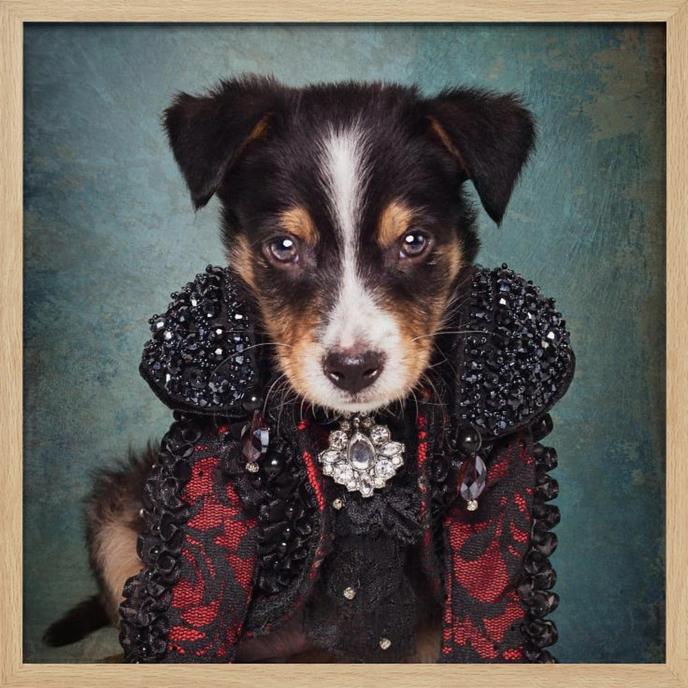 Shelter Pets Project - Loki - Poster / Art Print
