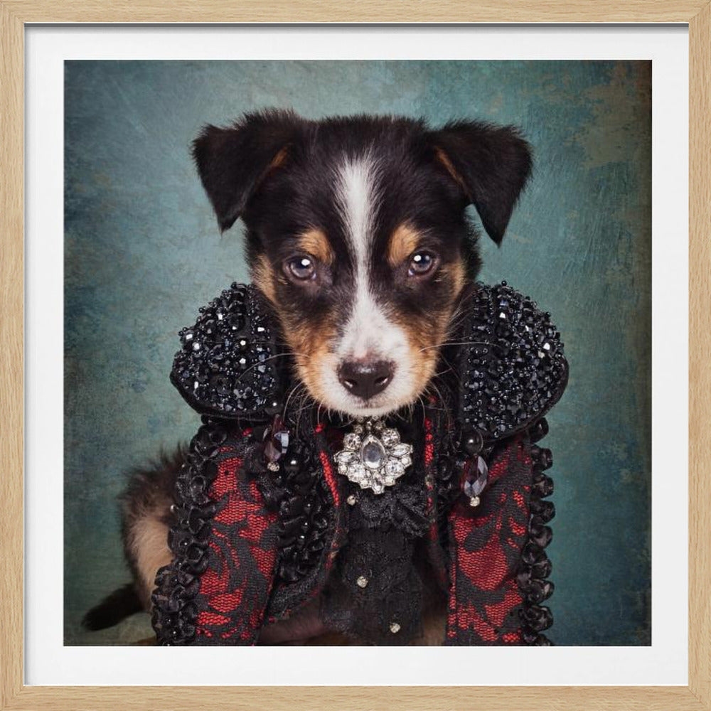 Shelter Pets Project - Loki - Poster / Art Print