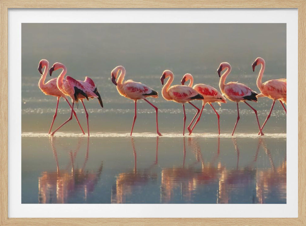 Flamingo - Poster / Art Print