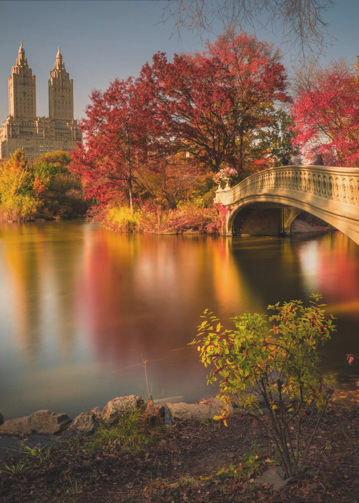 Fall in Central Park - Poster / Art Print