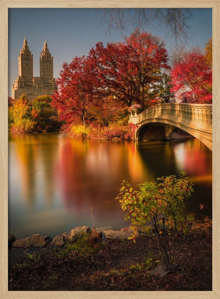 Fall in Central Park - Poster / Art Print