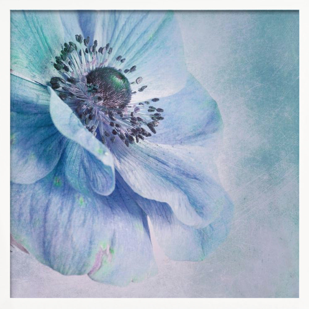 Shades of Blue - Poster / Art Print