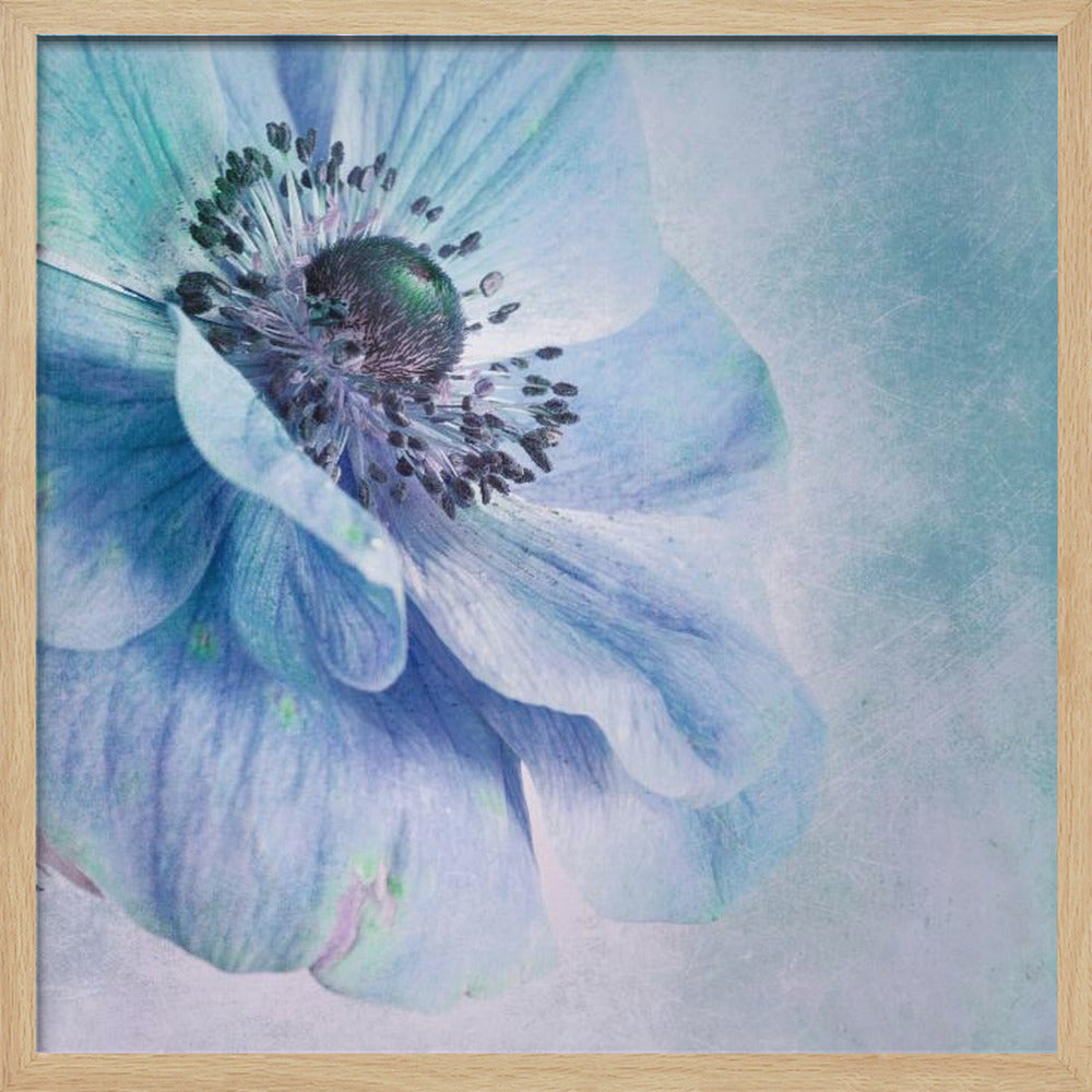 Shades of Blue - Poster / Art Print