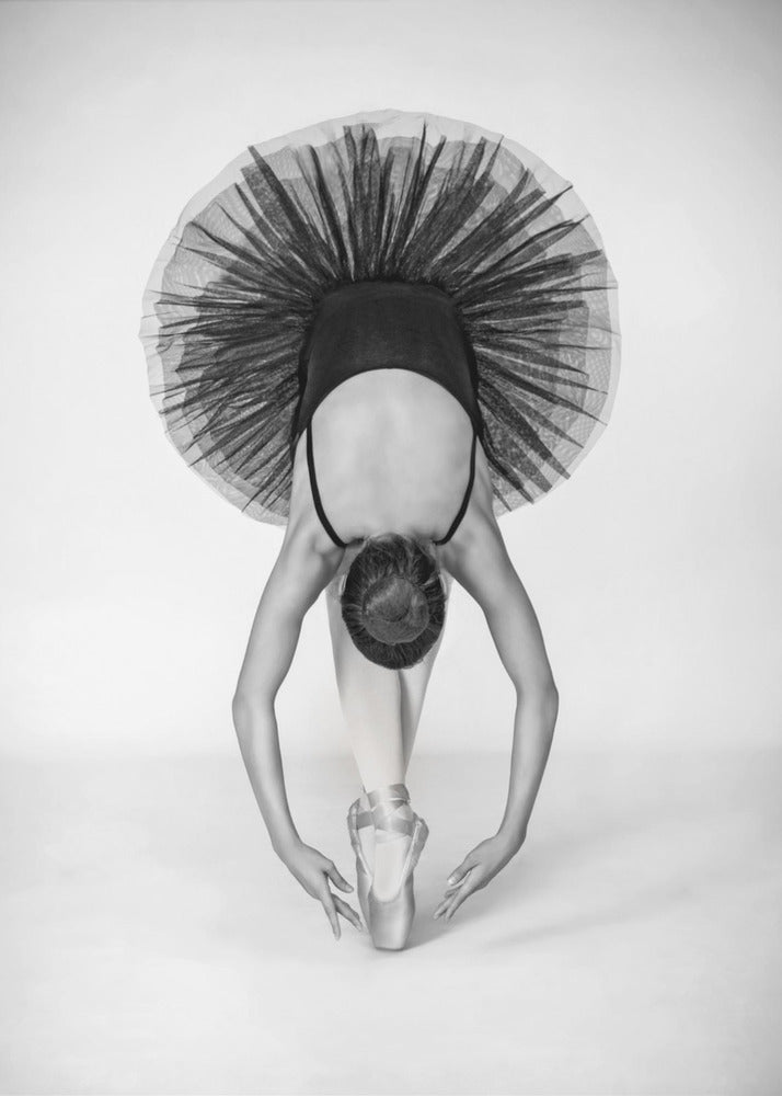 Ballet Technique - Poster / Art Print