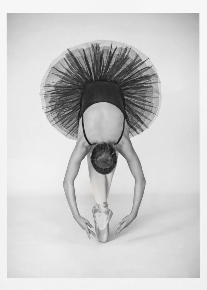 Ballet Technique - Poster / Art Print