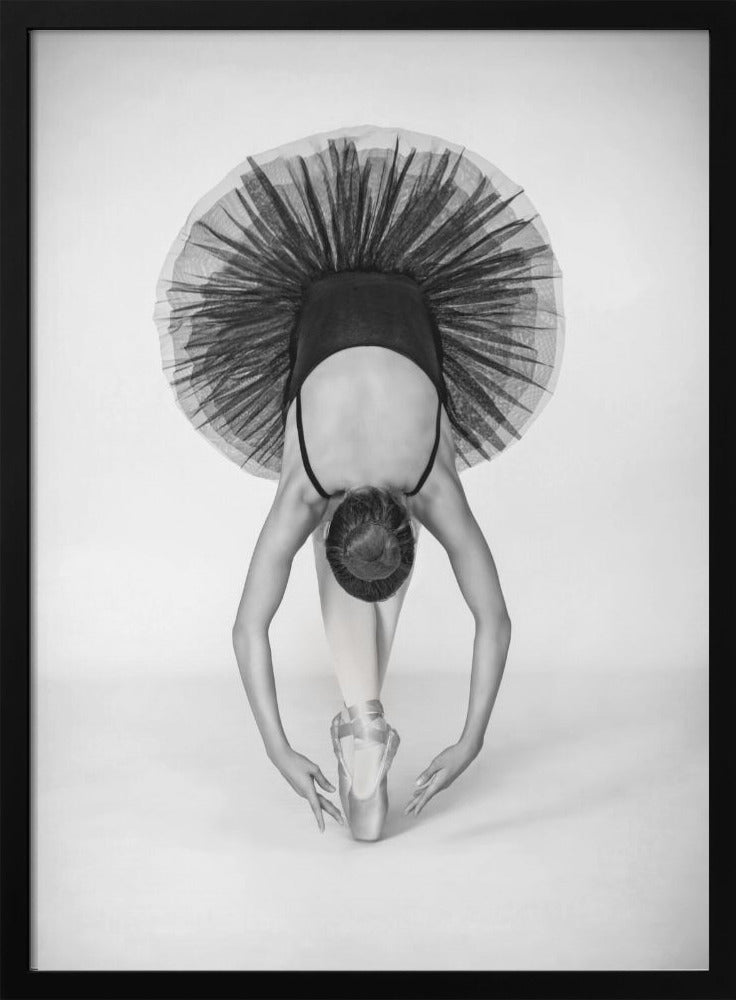 Ballet Technique - Poster / Art Print