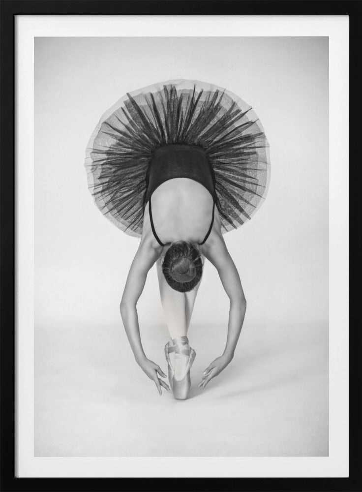 Ballet Technique - Poster / Art Print