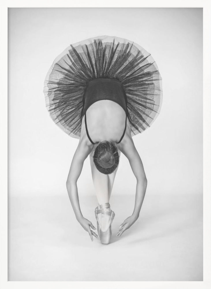 Ballet Technique - Poster / Art Print