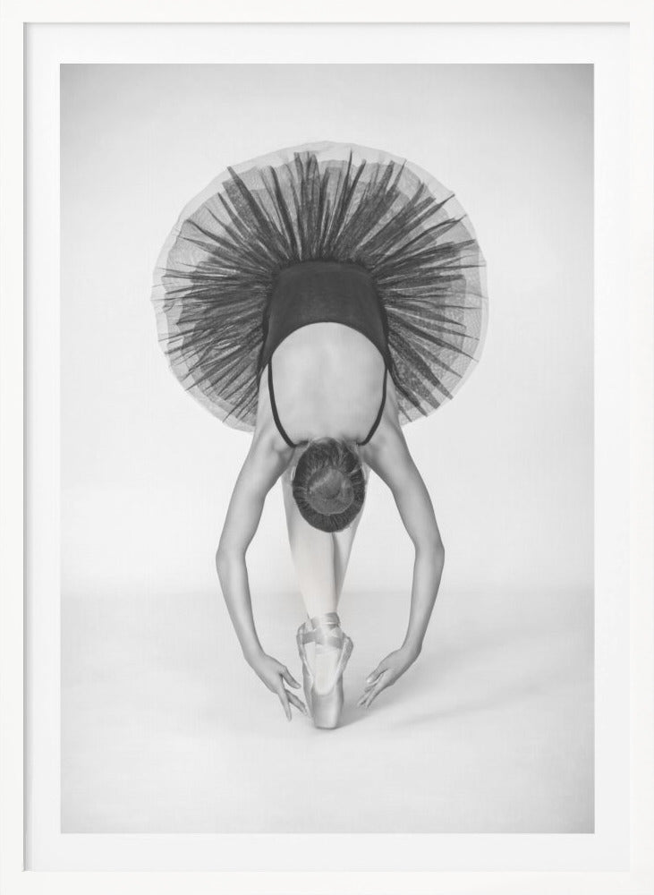 Ballet Technique - Poster / Art Print