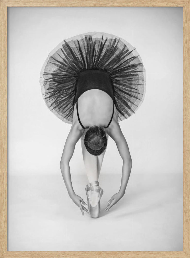 Ballet Technique - Poster / Art Print