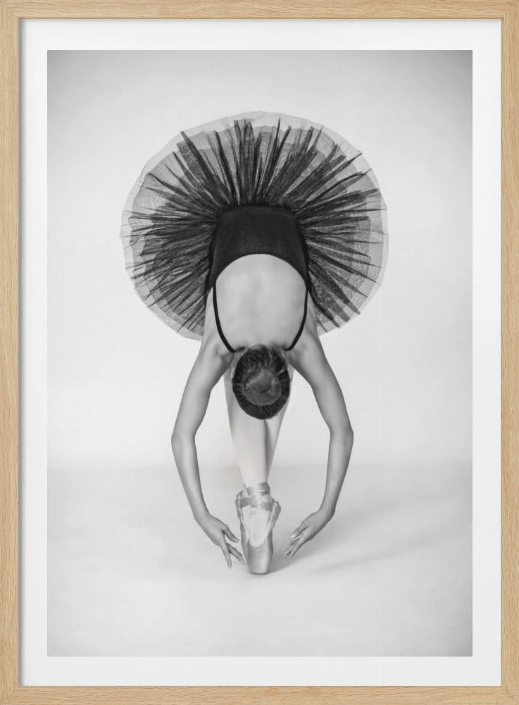 Ballet Technique - Poster / Art Print