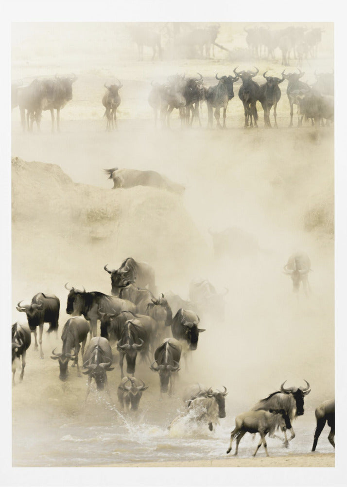 Swarming - Poster / Art Print