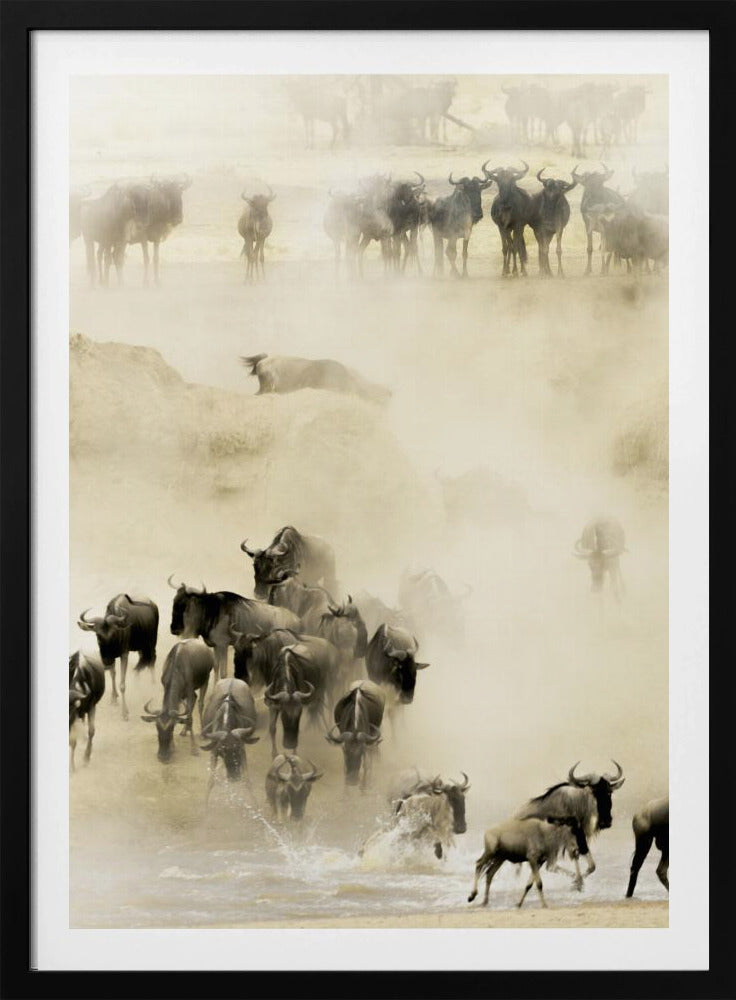 Swarming - Poster / Art Print