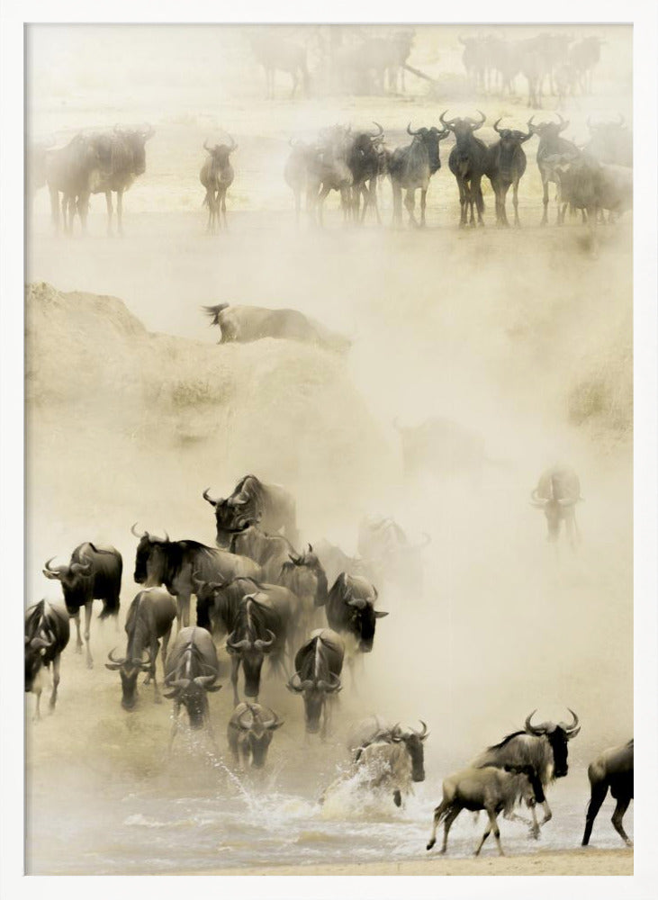 Swarming - Poster / Art Print