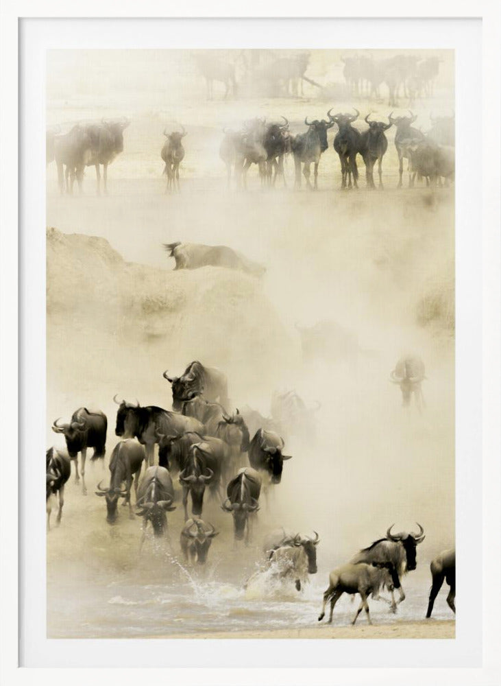 Swarming - Poster / Art Print