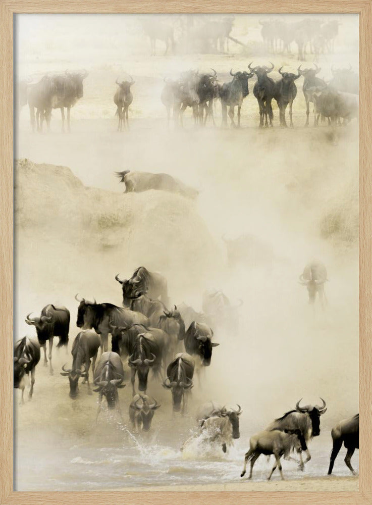 Swarming - Poster / Art Print