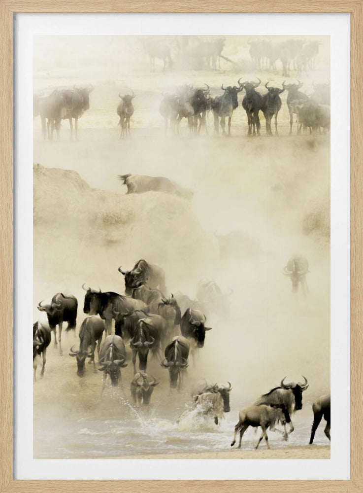 Swarming - Poster / Art Print