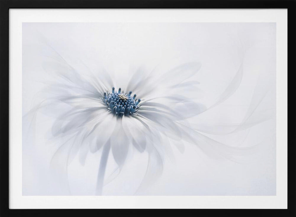 Serenity - Poster / Art Print
