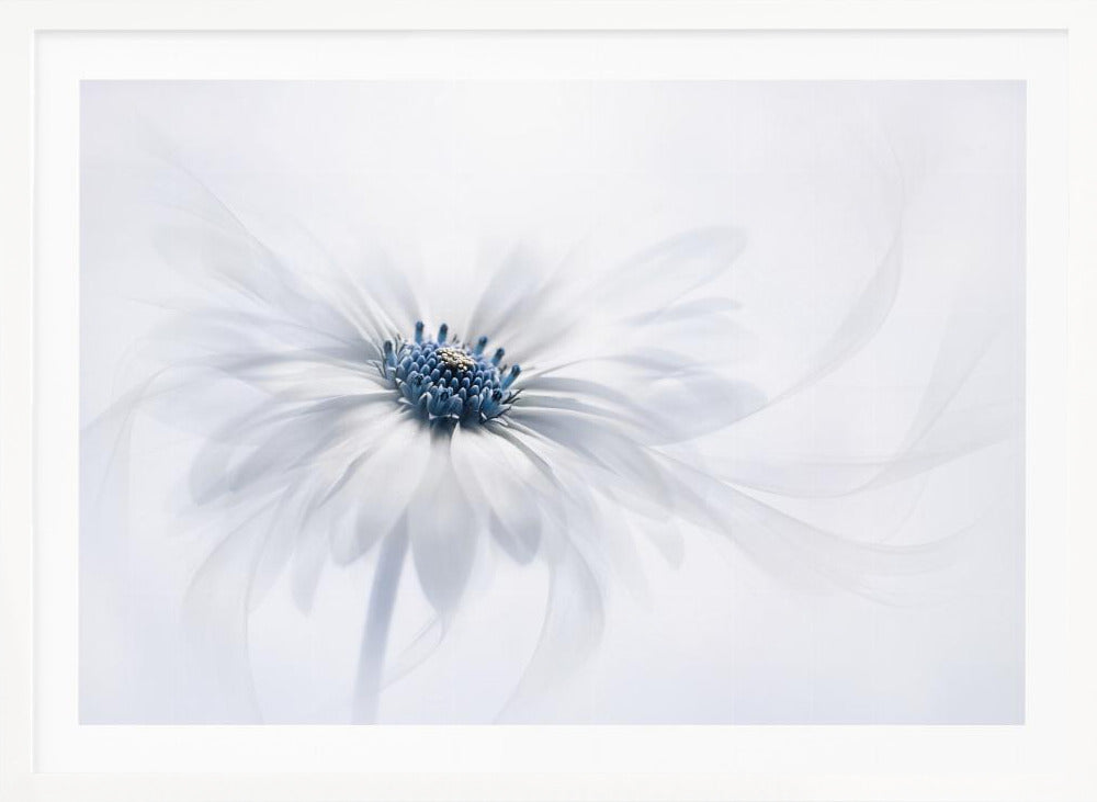 Serenity - Poster / Art Print