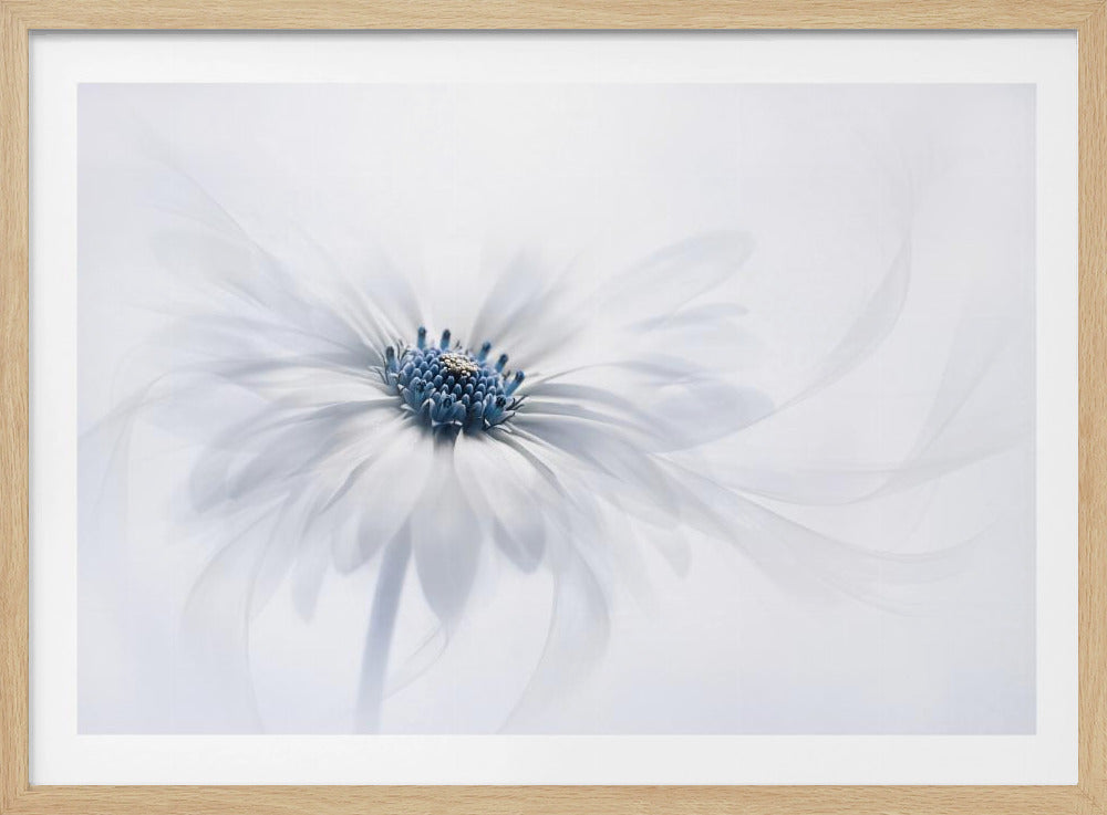 Serenity - Poster / Art Print