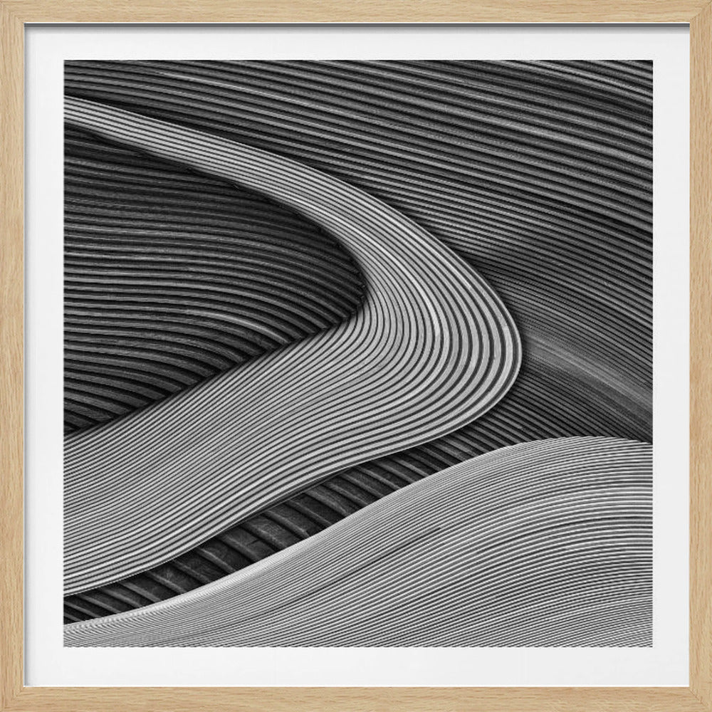 The wood project III - Zen garden - Poster / Art Print