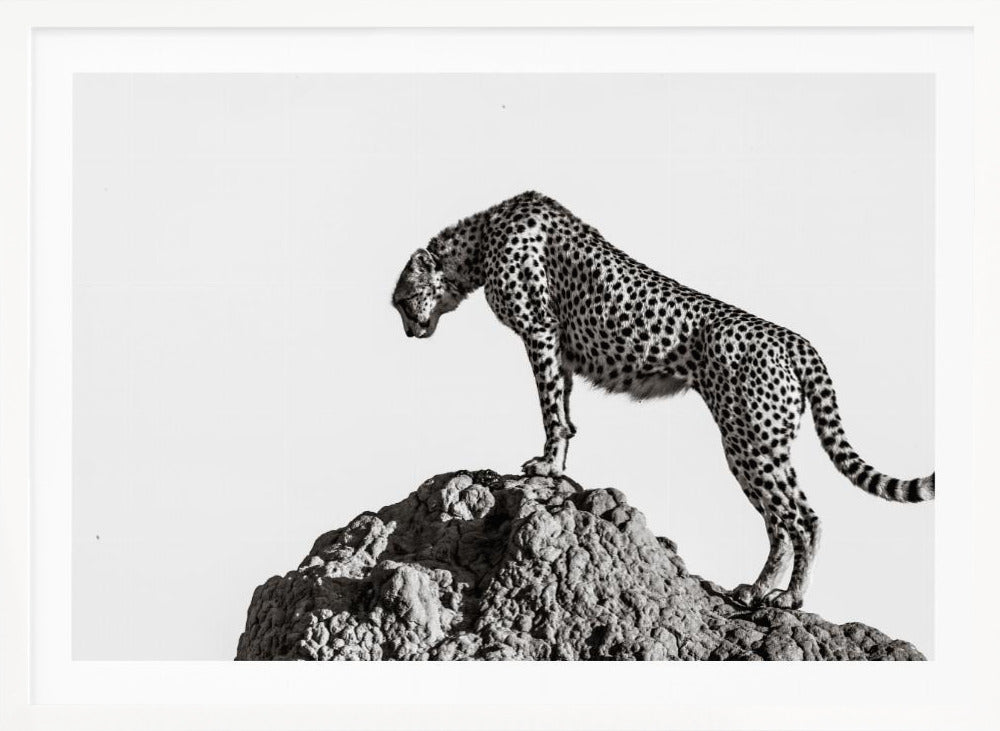 the hunter - Poster / Art Print