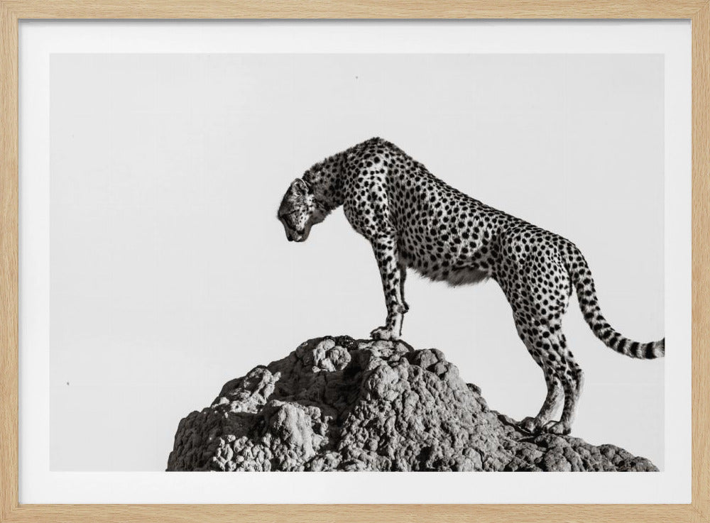 the hunter - Poster / Art Print