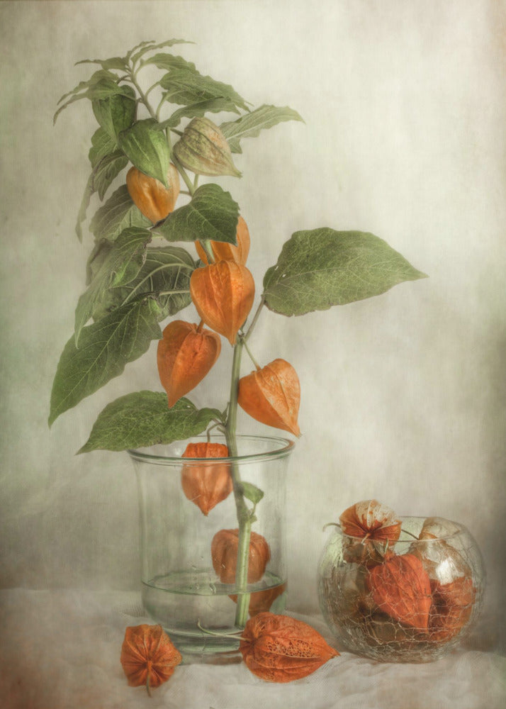 Lanterns - Poster / Art Print