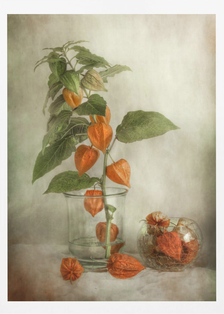 Lanterns - Poster / Art Print