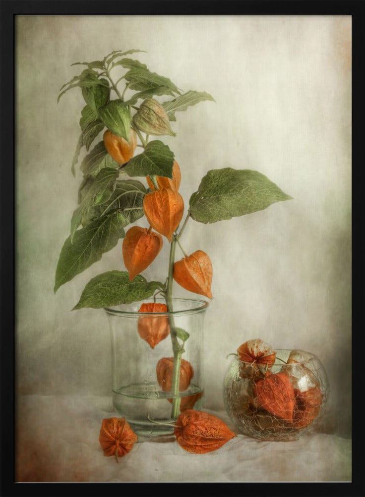 Lanterns - Poster / Art Print