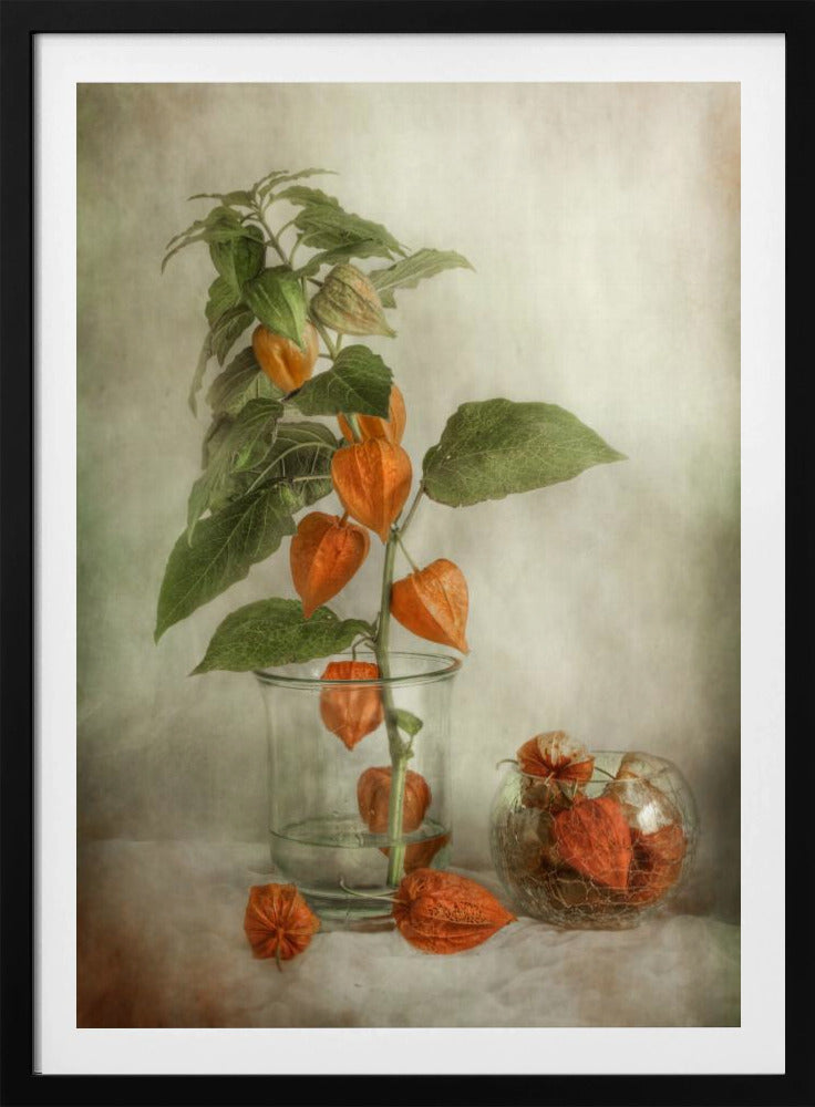 Lanterns - Poster / Art Print