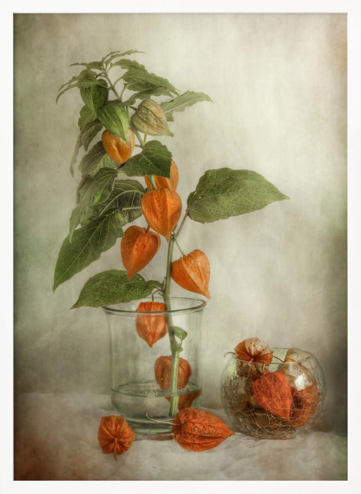 Lanterns - Poster / Art Print