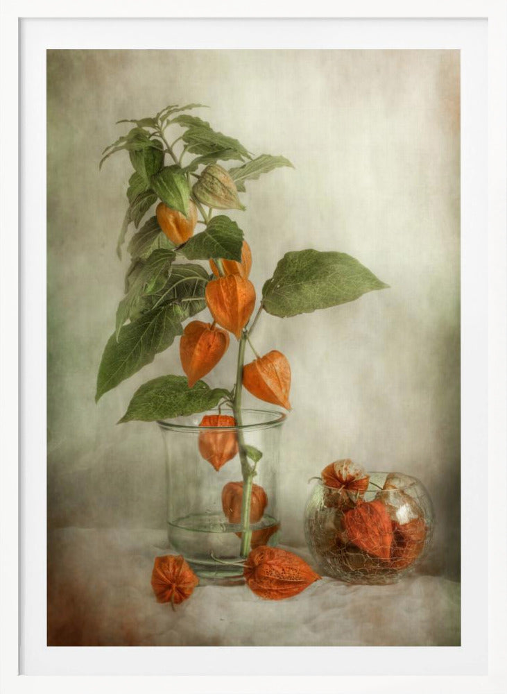 Lanterns - Poster / Art Print