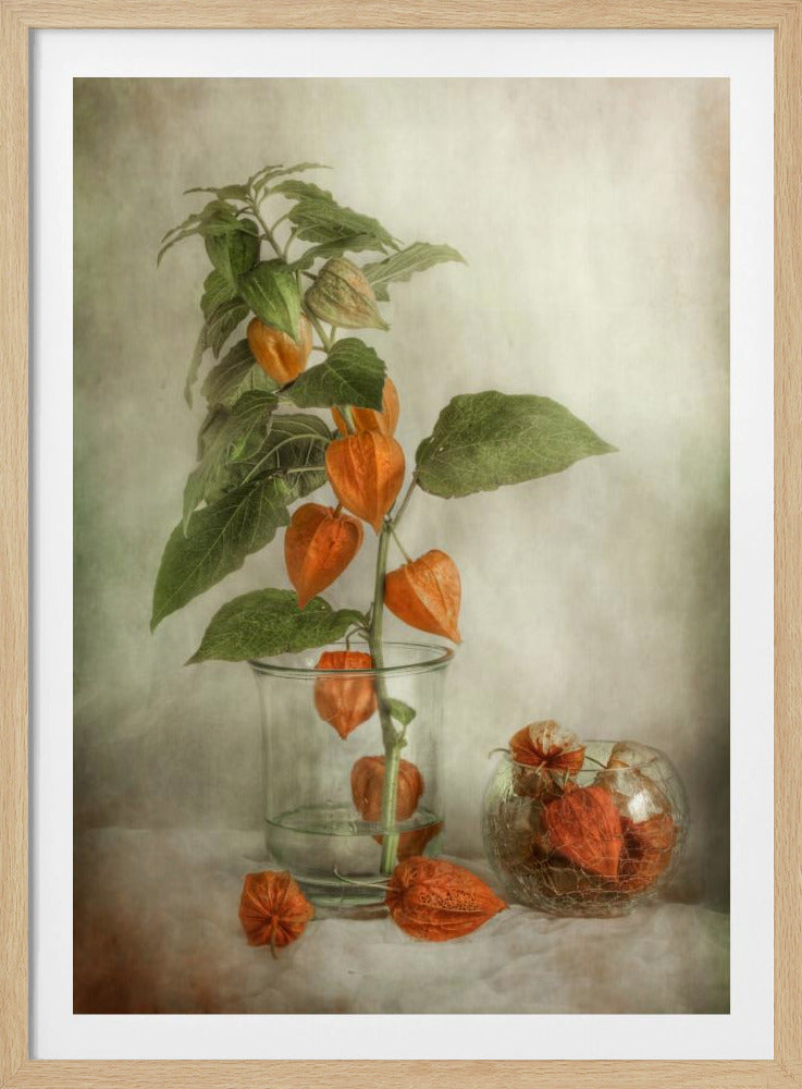 Lanterns - Poster / Art Print
