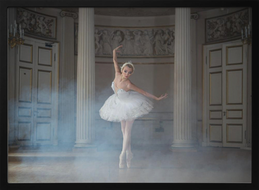 Ballerina - Poster / Art Print