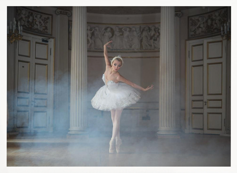 Ballerina - Poster / Art Print