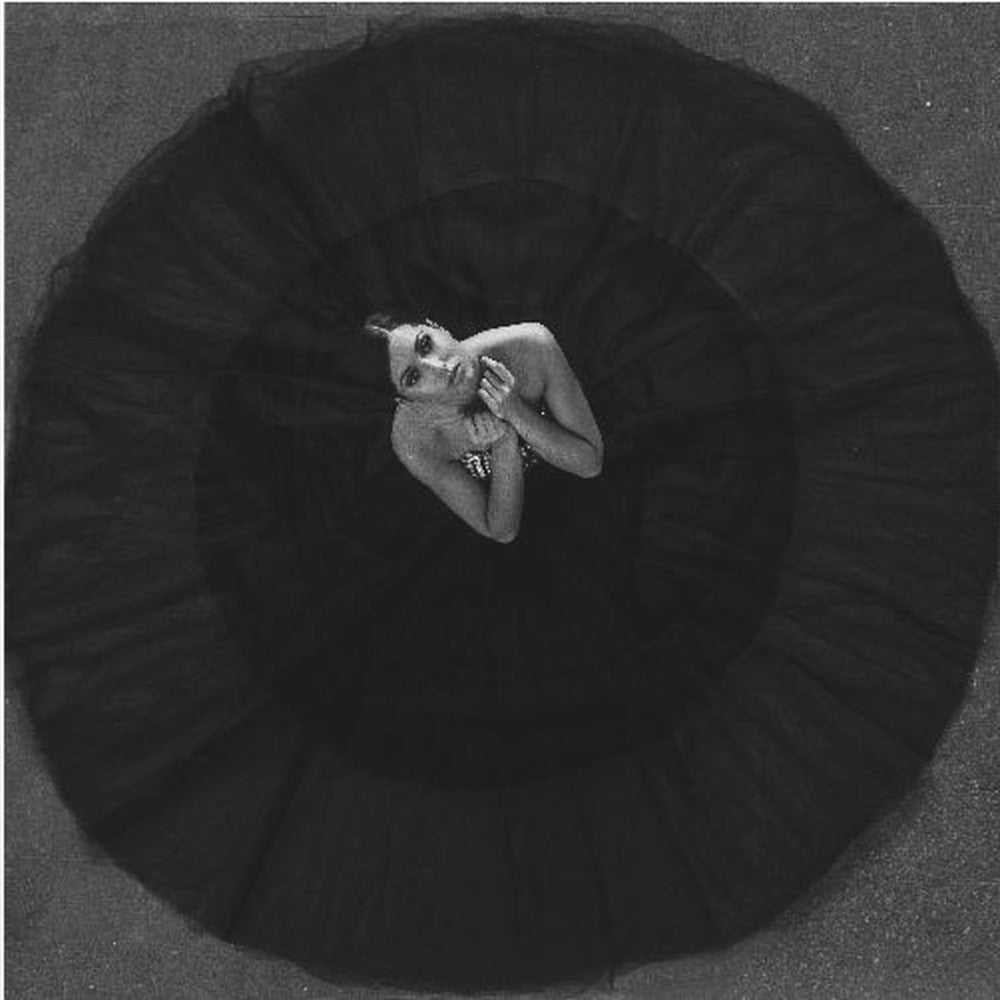 Black swan - Poster / Art Print