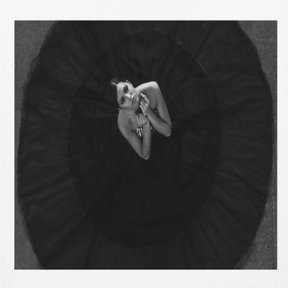 Black swan - Poster / Art Print