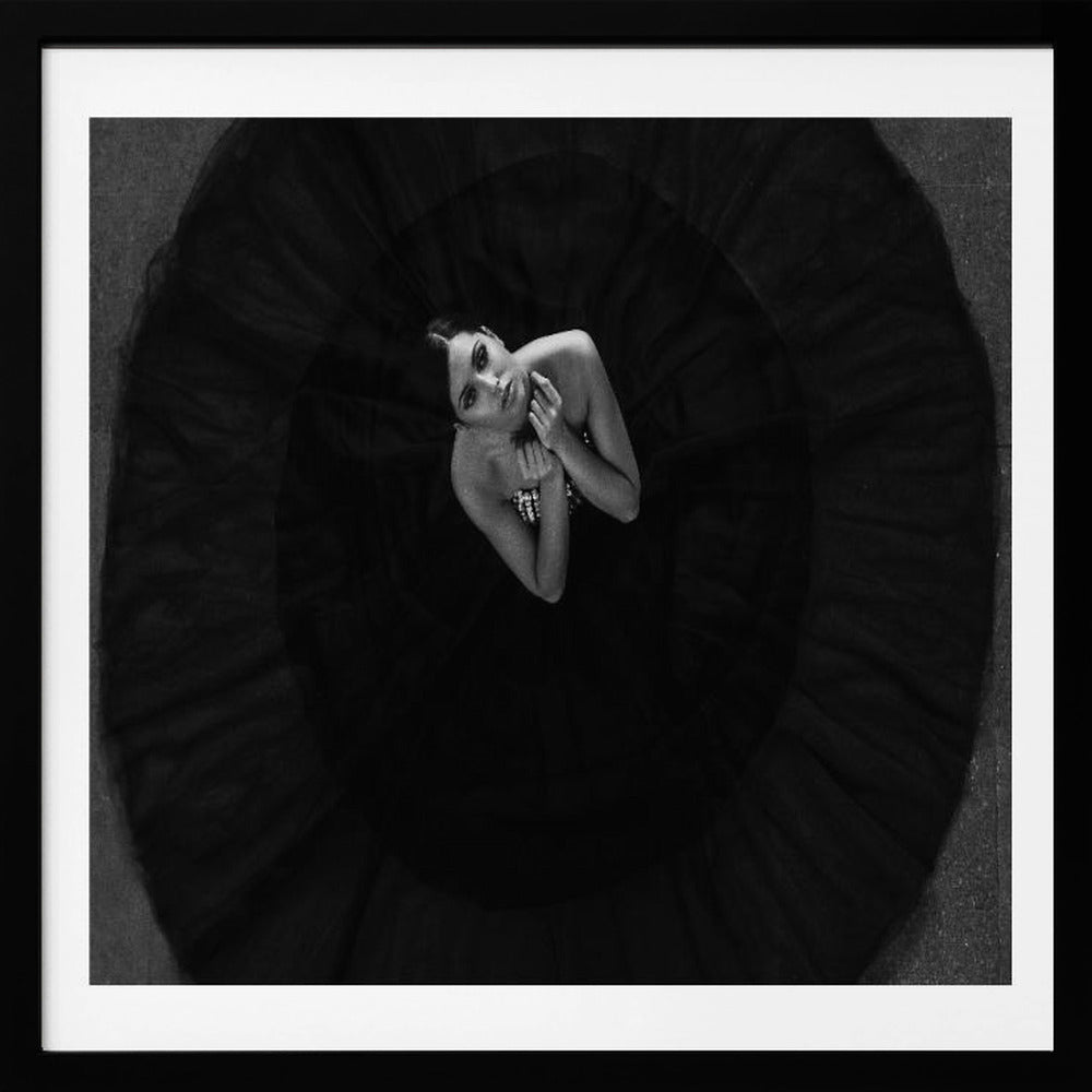 Black swan - Poster / Art Print