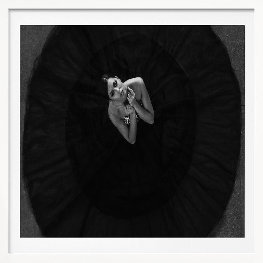 Black swan - Poster / Art Print