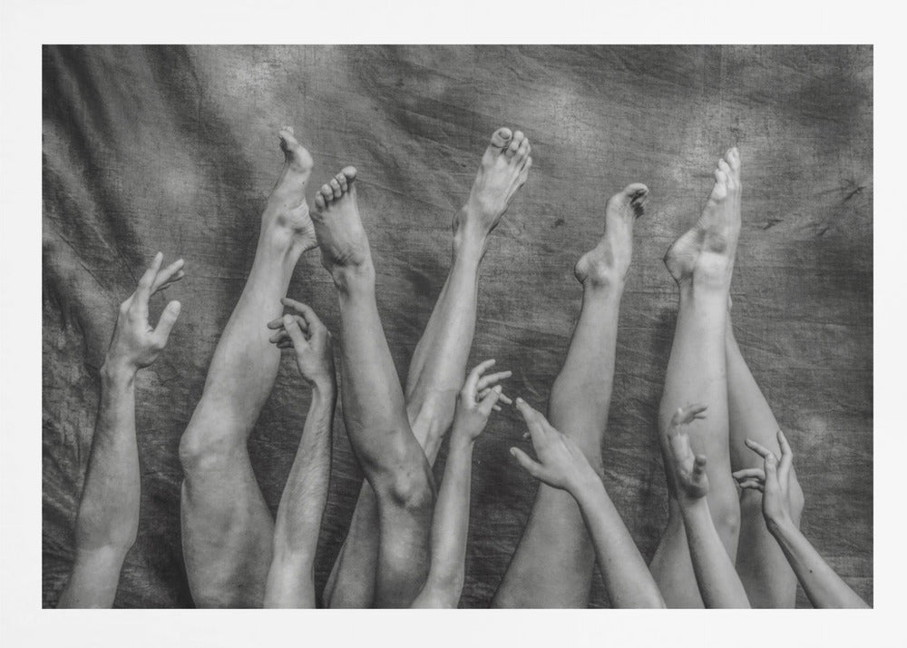 An Elegant Chaos. - Posters / Art Prints