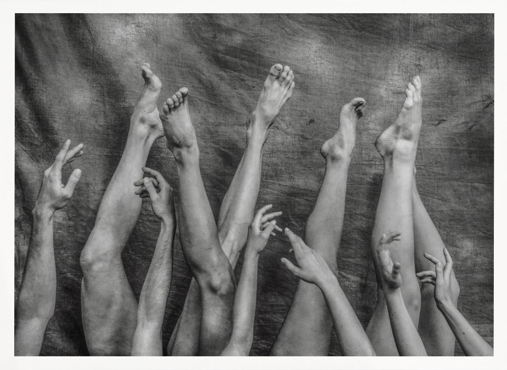 An Elegant Chaos. - Posters / Art Prints