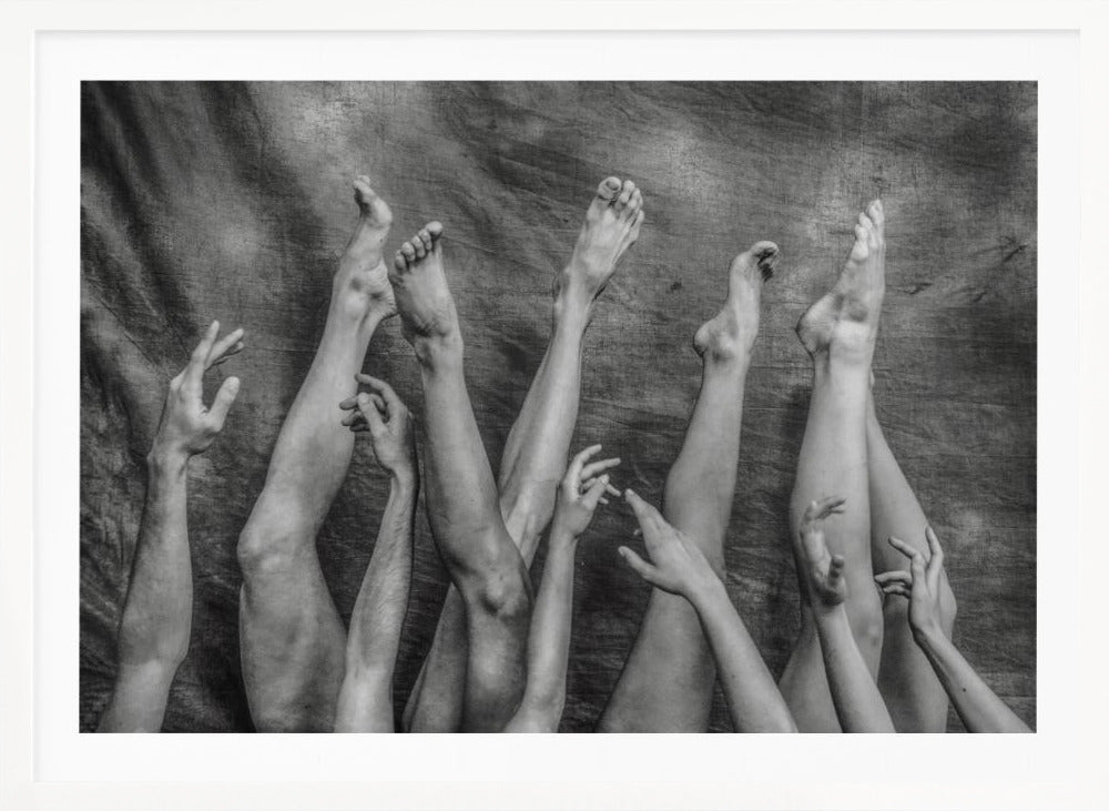 An Elegant Chaos. - Posters / Art Prints