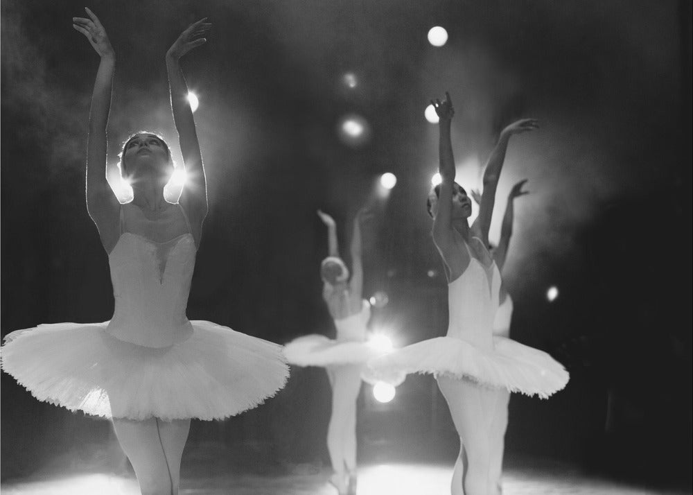 Swan Lake - Poster / Art Print