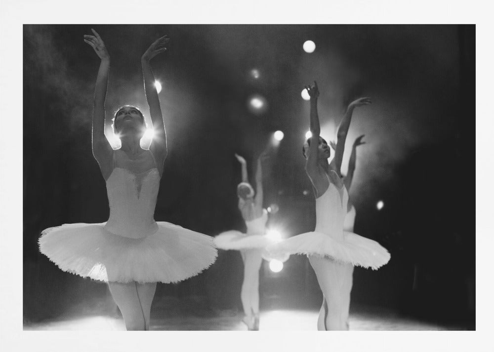 Swan Lake - Poster / Art Print